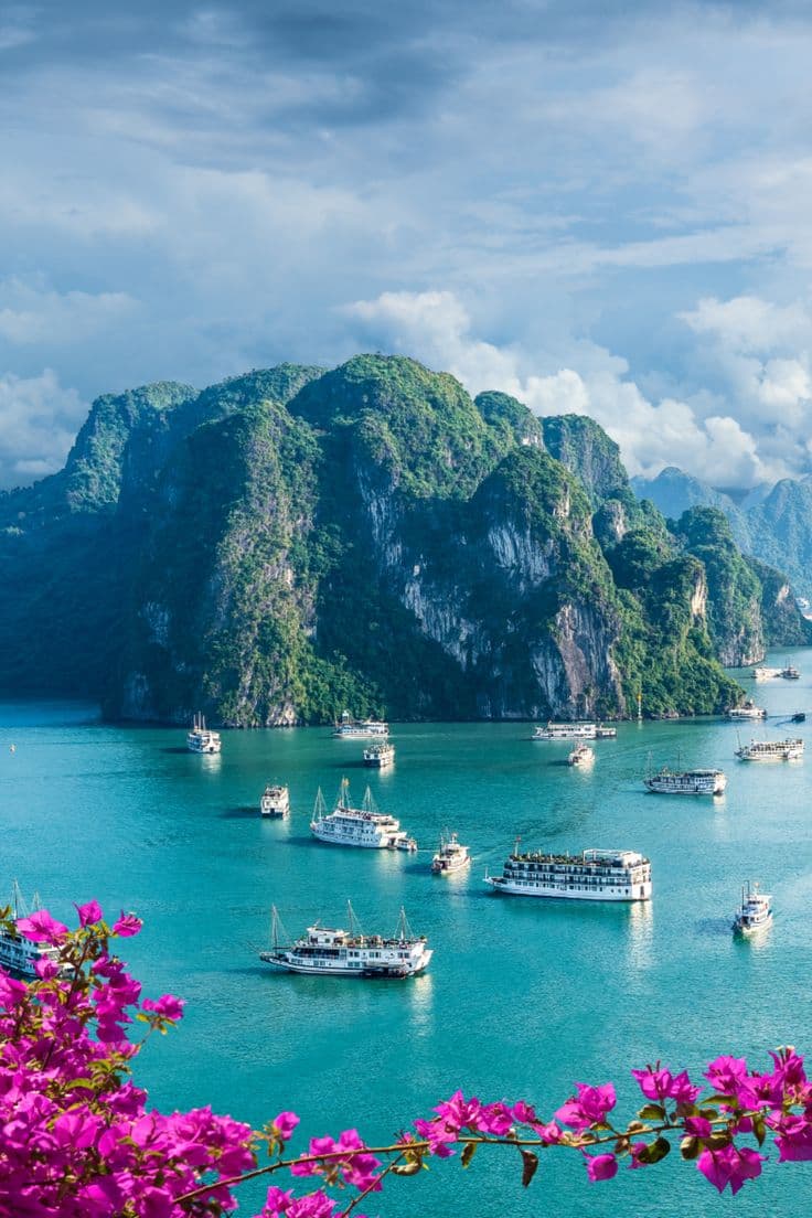 Singapore Delight